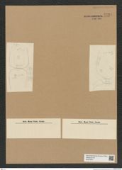 Diatomeae indet. Zeichnungen Sammlung Grunow Nr. 7731 (NHMW-BOT-W0376947)
